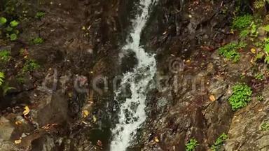 水在瀑布上流动，通过一<strong>条</strong>多叶的岩石<strong>通道</strong>向下流动。 森林奇迹。 令人心旷神怡的小溪